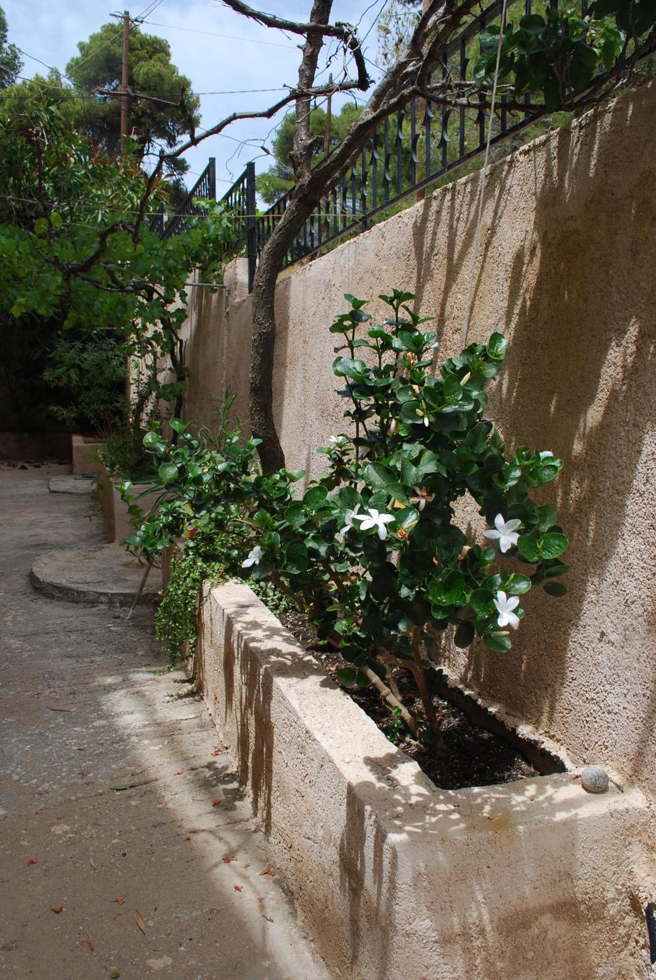 Vana Studios Agia Marina  Exterior foto